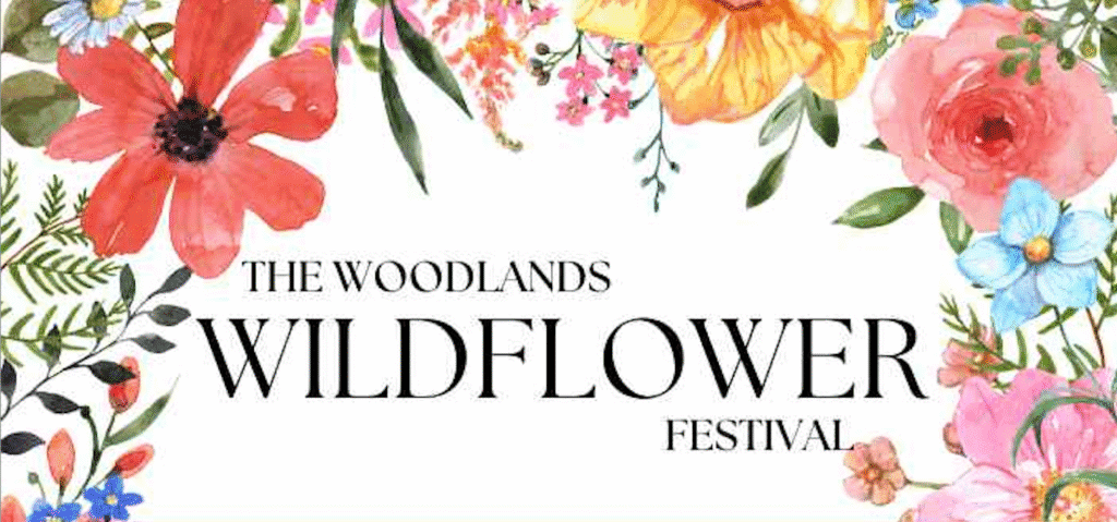 Screenshot 2025-10-17 at 2.02.36 PM