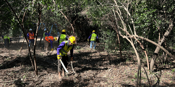 Crews work to remove vines and other invasives; Photo Credit: The Woodlands Township