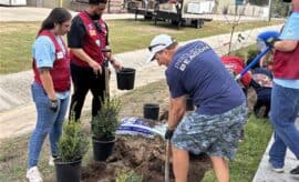 Project Beacon Lowes