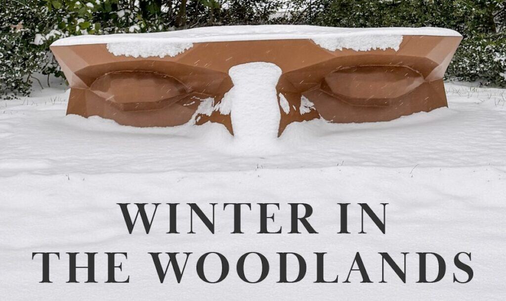 Winter in the Woods TWAC