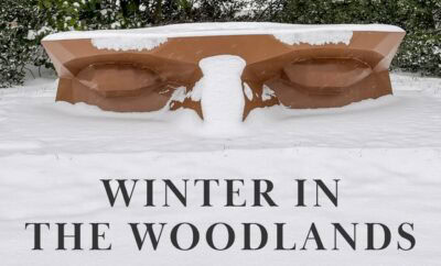 Winter in the Woods TWAC