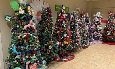 Christmas Trees St. Lukes Health The Woodlands