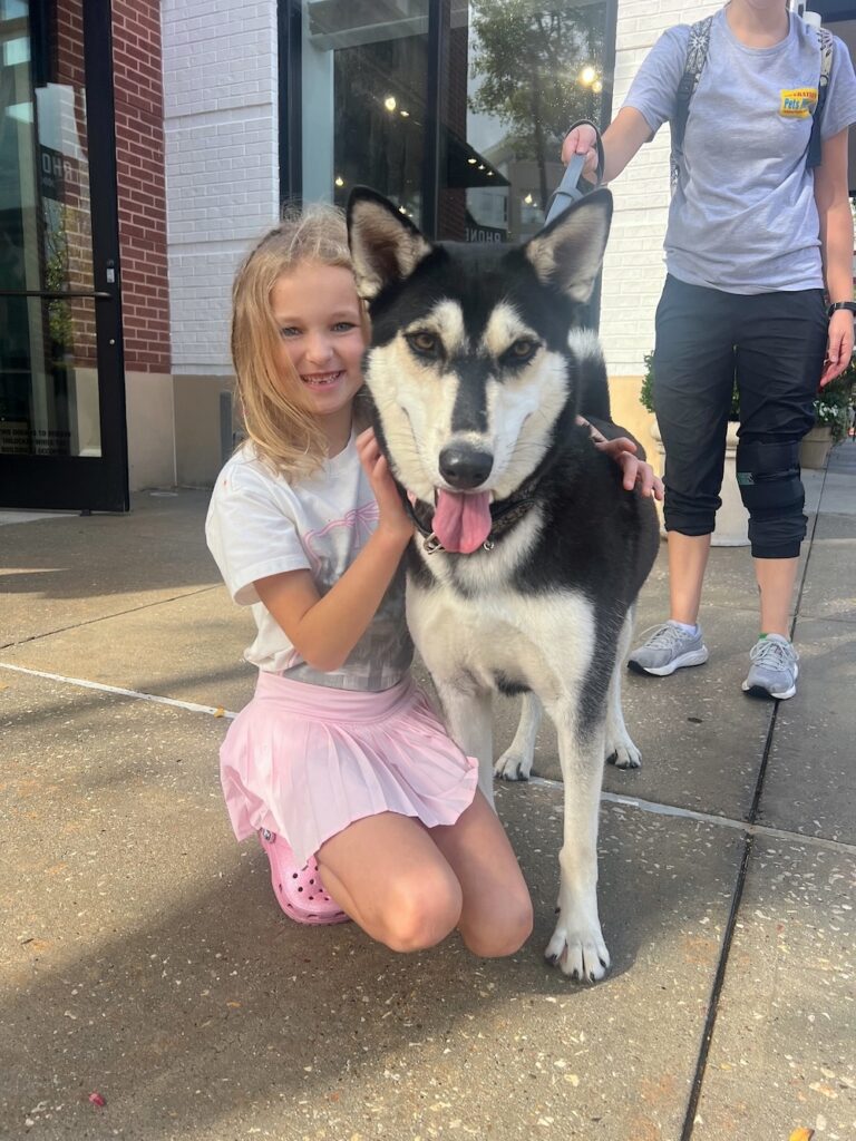 Operation Pets Alive Fifi