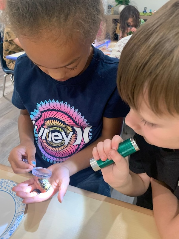 Discovery School of Innovation to Launch Reggio Emilia–Inspired Pre-K4 Program in Fall 2026