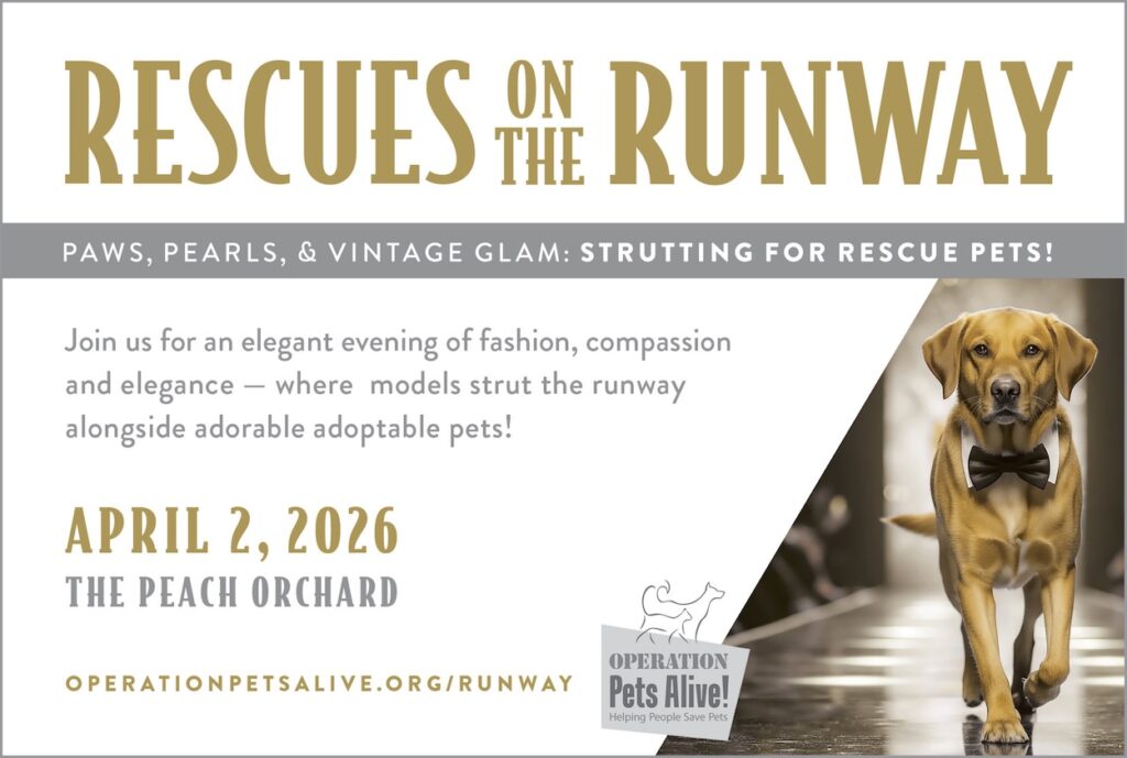 Rescues on the Runway 2026