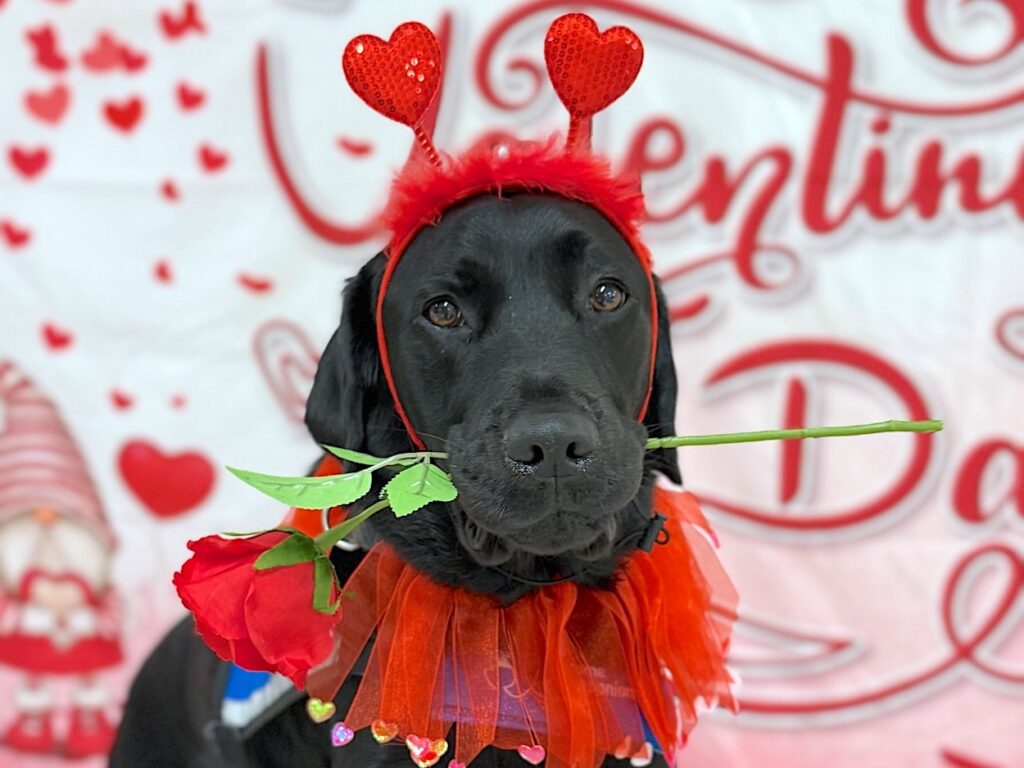 Kinson Valentine’s Day at Memorial Hermann The Woodlands