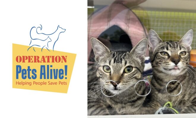 Pet of the Month with Operation Pets Alive: Meet Rosemary & Lavender