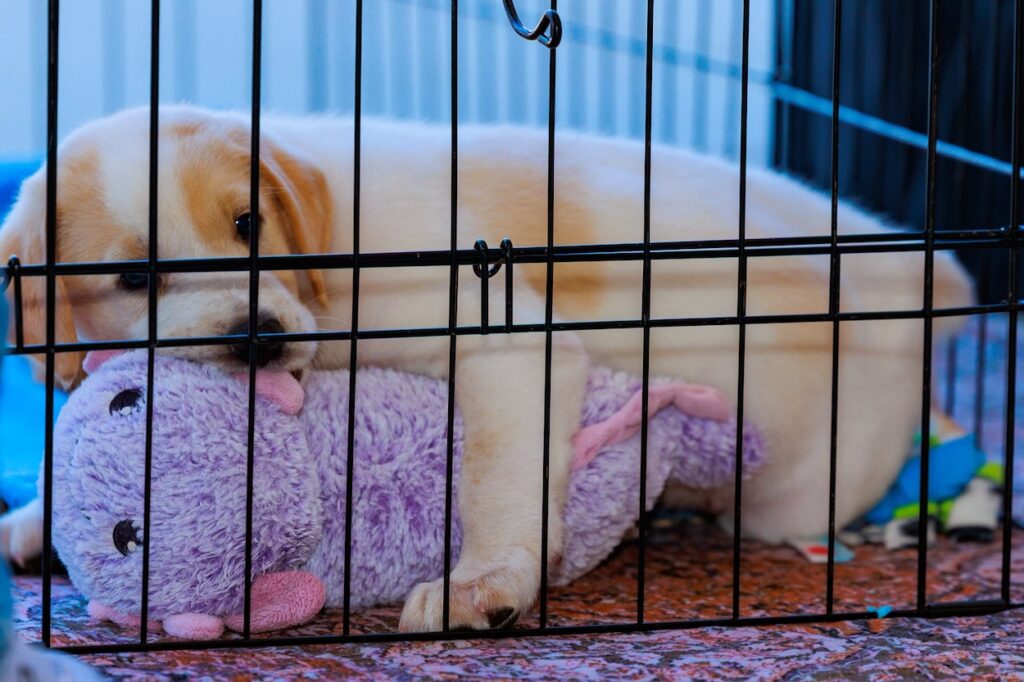 Photo credit: Becky Heidorf, I Love That Photography
