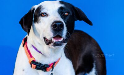 Photo credit: Becky Heidorf, I Love That Photography