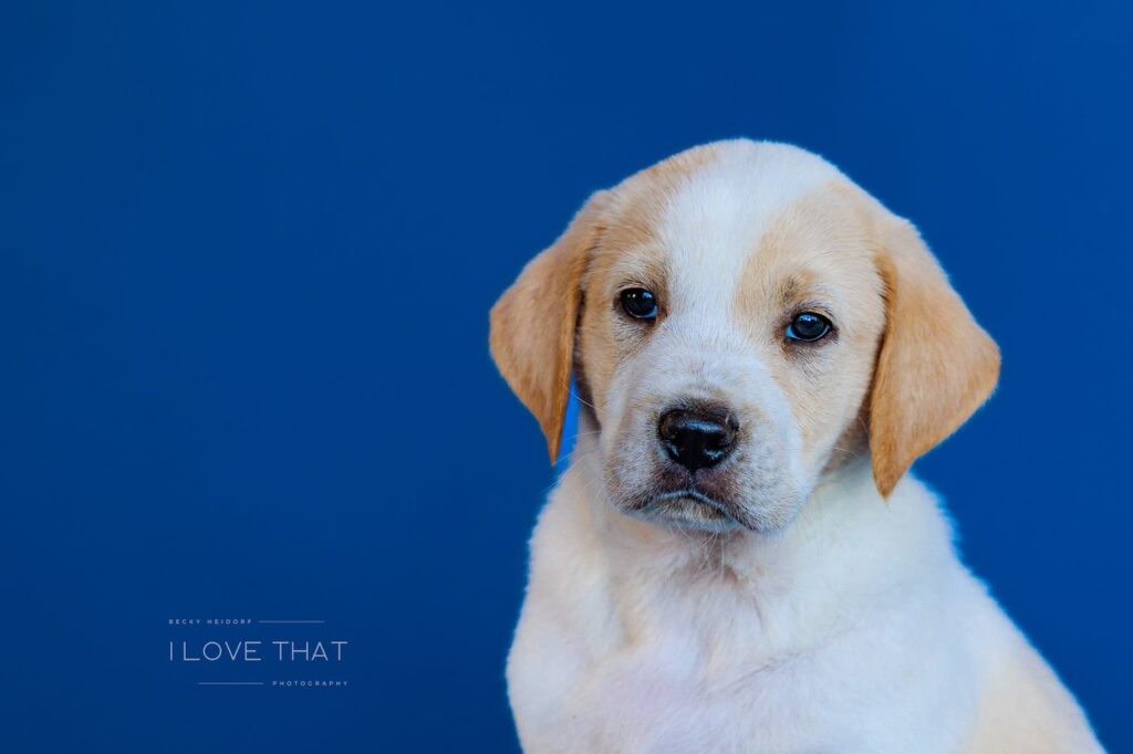 F5953884-2AB7-4B9E-89F8-F94121D34807