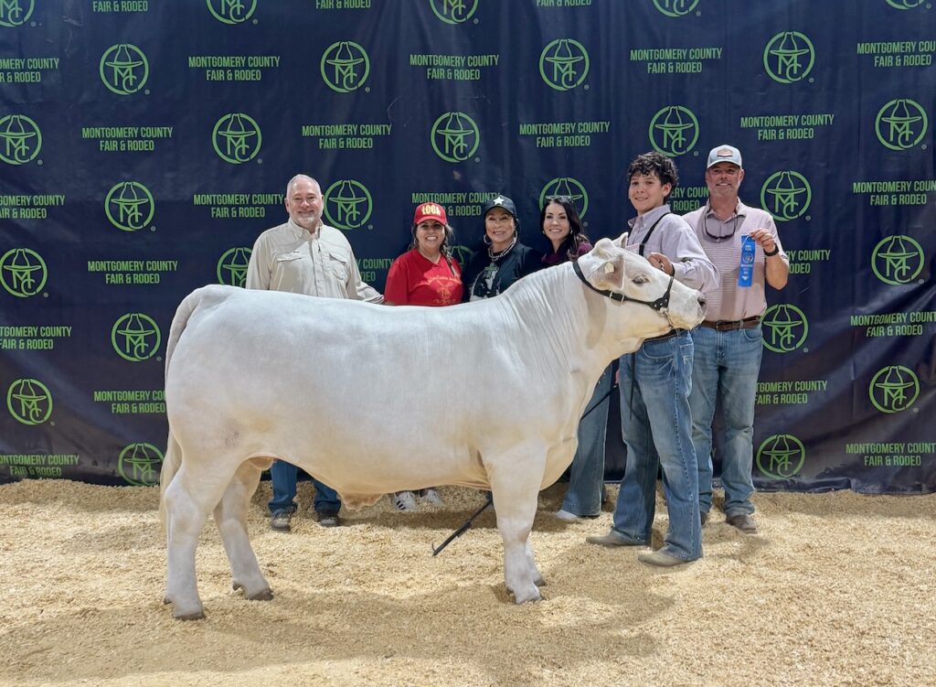 The Woodlands Christian Academy Student Hayes and His Steer