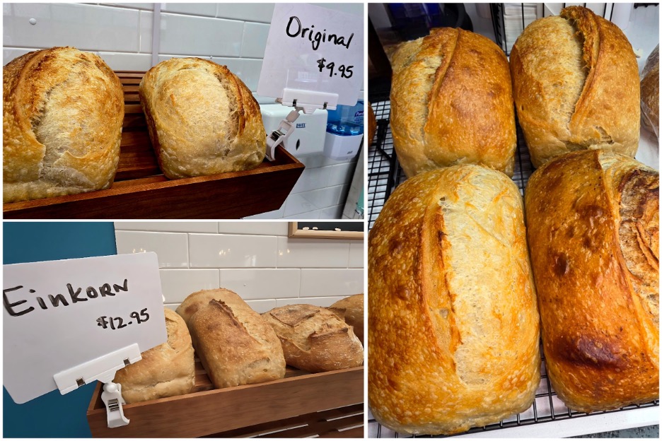 Original Sourdough Bread / Freshly baked Original Sourdough bread cooling / Einkorn Bread. Photos by Nick Rama