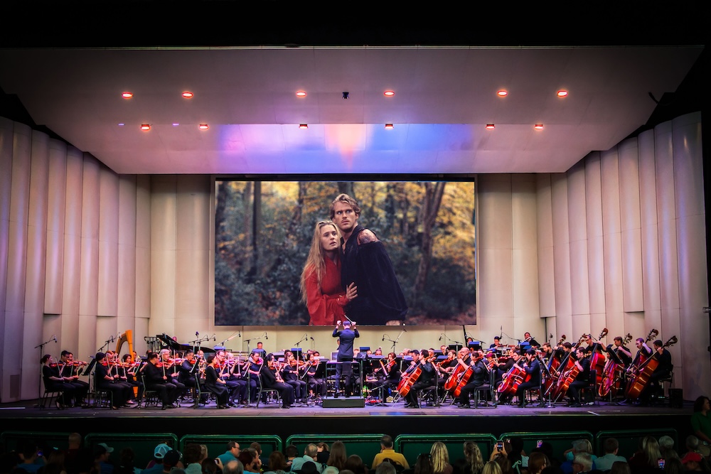 Princess Bride On Screen