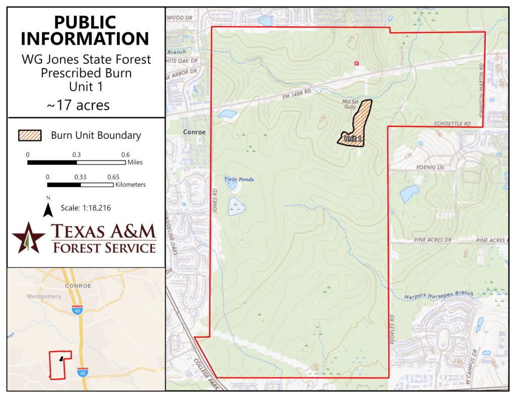 WG Jones State Forest Prescribed Burn for May 11