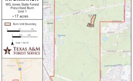 WG Jones State Forest Prescribed Burn for May 11