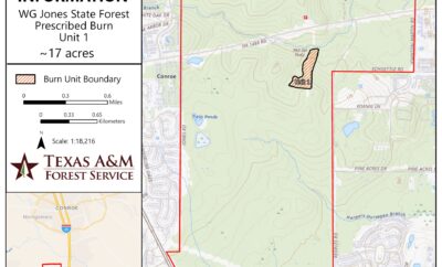 WG Jones State Forest Prescribed Burn for May 11
