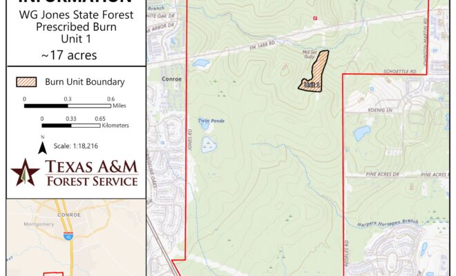 WG Jones State Forest Prescribed Burn for May 11
