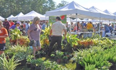 Woodlands Landscaping Solutions
