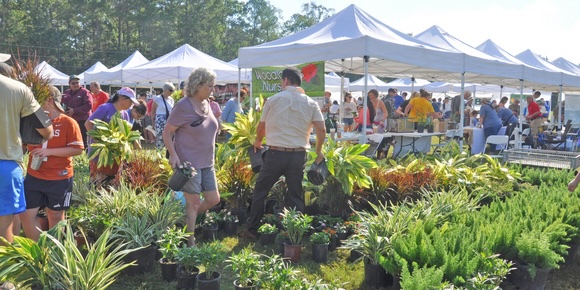 Woodlands Landscaping Solutions