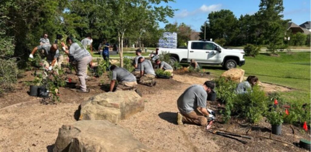 New Pollinator Garden Transforms Wendtwoods Park