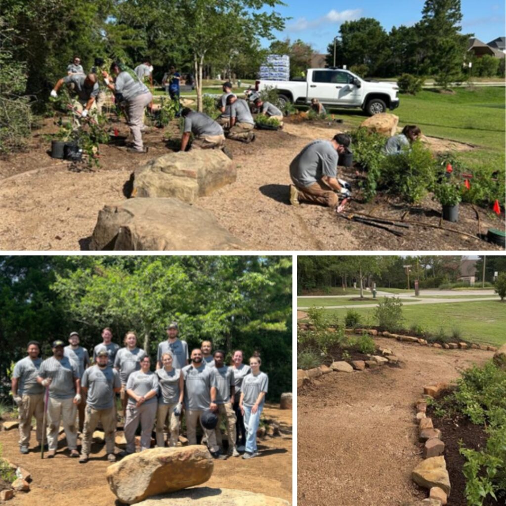 New Pollinator Garden Transforms Wendtwoods Park