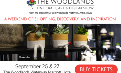 The Woodlands Fine Craft, Art & Design Show