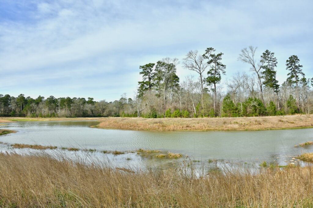 Nature Preserve