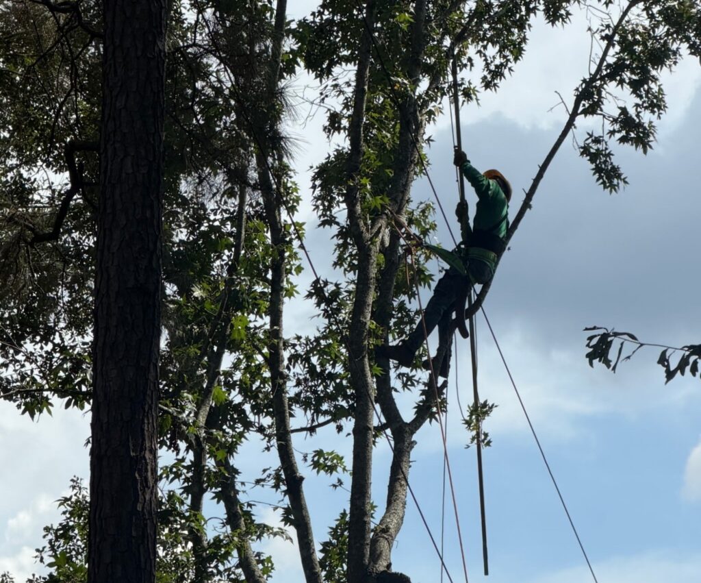 Entergy Texas urges customers to prepare for Tropical Storm Edouard