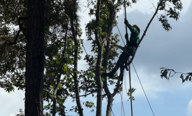Entergy Texas urges customers to prepare for Tropical Storm Edouard