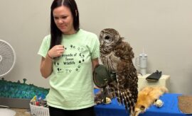 Fangtastic Fun Friday at The Woodlands Children's Museum
