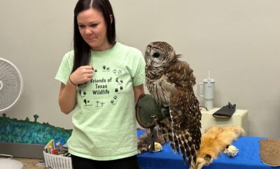 Fangtastic Fun Friday at The Woodlands Children's Museum