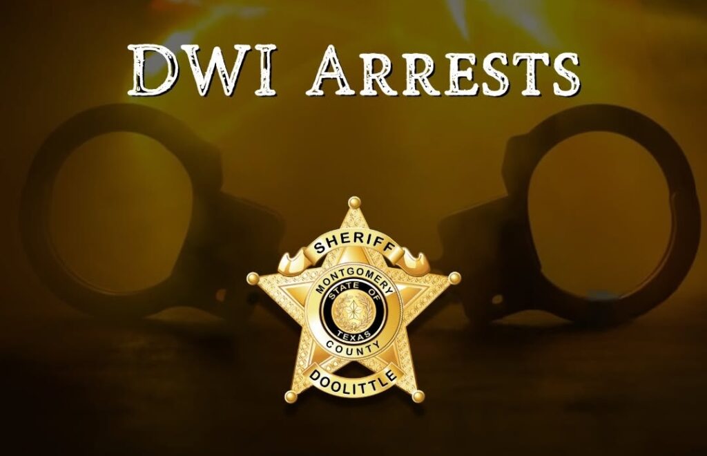 MCSO Holiday Weekend DWI Task Force Update