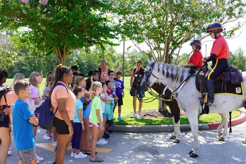 Mounted Patrol Community Questions Answered