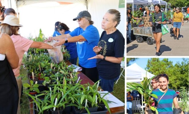 Woodlands Landscaping Solutions on September 26
