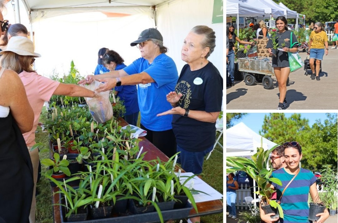 Know Better, Grow Better: Woodlands Landscaping Solutions on September 26