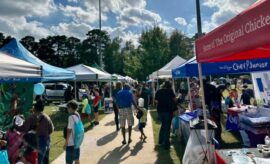Alden Bridge Fall Festival on November 7