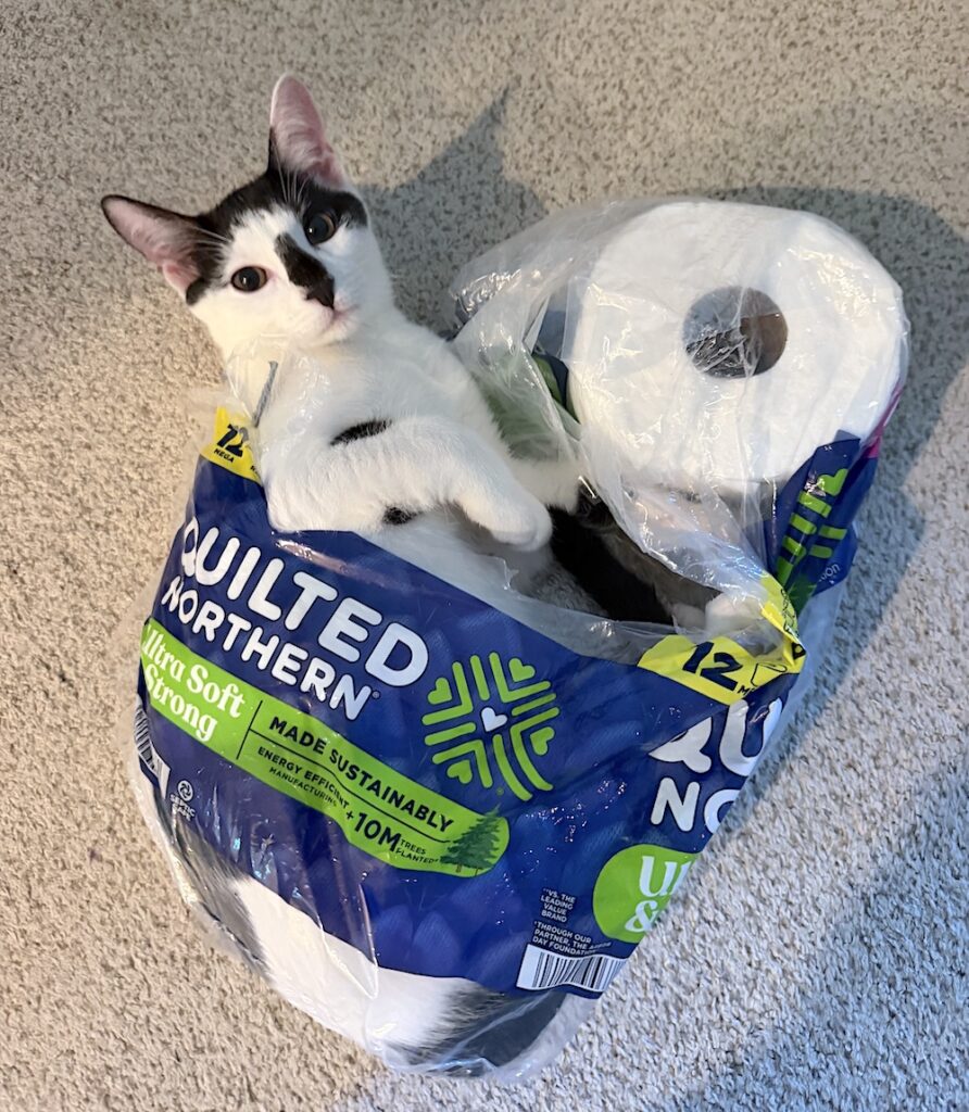 Moo & Olivia; Photo courtesy of Operation Pets Alive