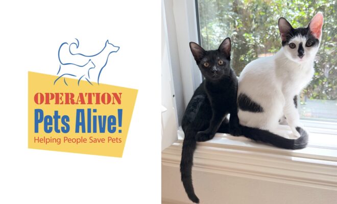 Pet of the Month with Operation Pets Alive: Meet Moo & Olivia