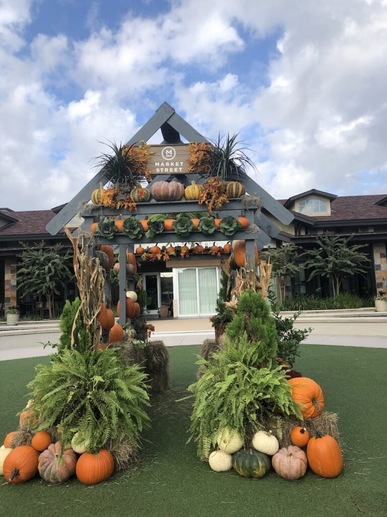 A previous year pumpkin photo opportunity