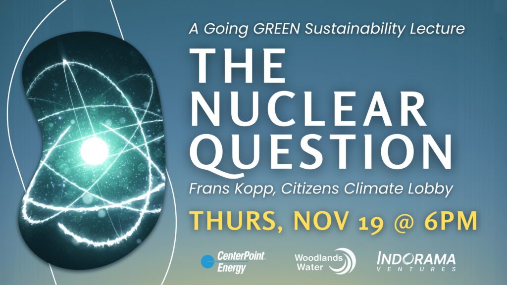 The Nuclear Question November 19